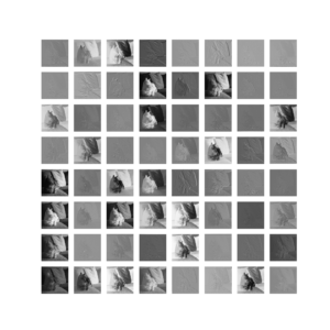 Visualizing Filters And Feature Maps In Convolutional Neural Networks