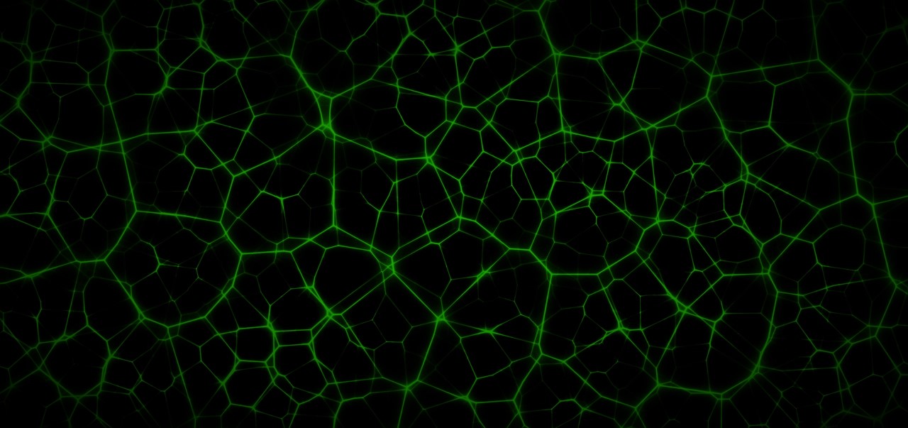 Image of Neurons