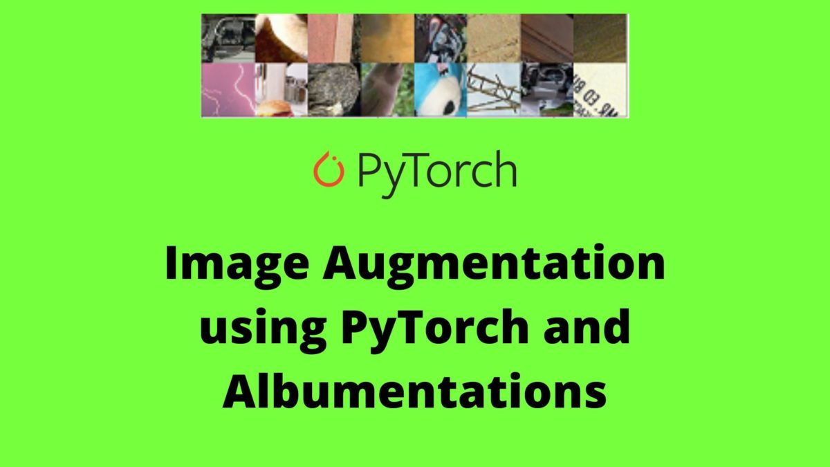 Image Augmentation using PyTorch and Albumentations