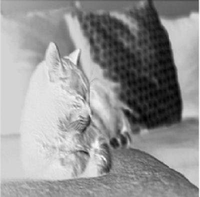A convolved cat image after passing a 7x7 filter of a convolutional neural network over the input image.