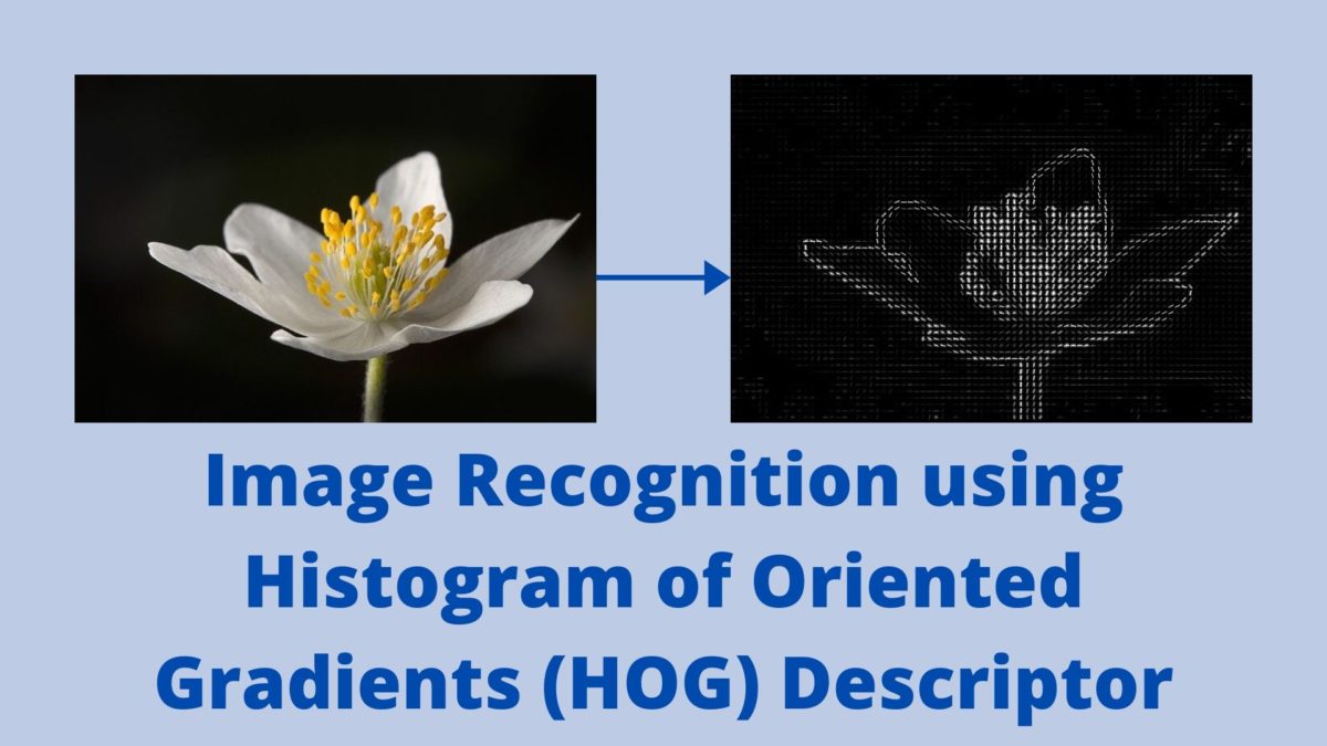 Image Recognition using Histogram of Oriented Gradients (HOG) Descriptor