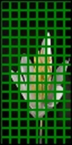 The flower image divided into 8x8 pixel cell grid