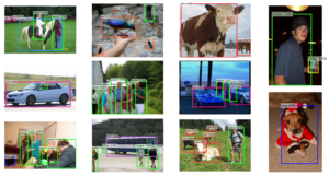 Faster RCNN Object Detection With PyTorch