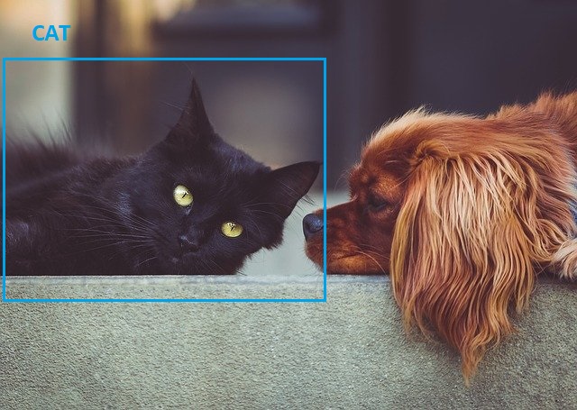 False negative example in deep learning object detection.
