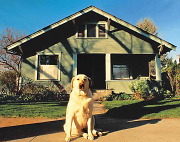 A picture of a dog in front of a house.