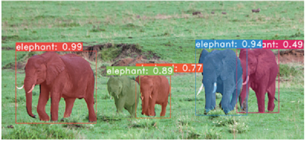 Example of instance segmentation in deep learning
