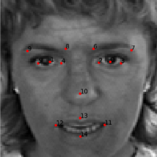 An example of facial keypoint detection using deep learning and PyTorch.