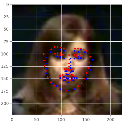 Example of facial keypoint detection using deep learning.