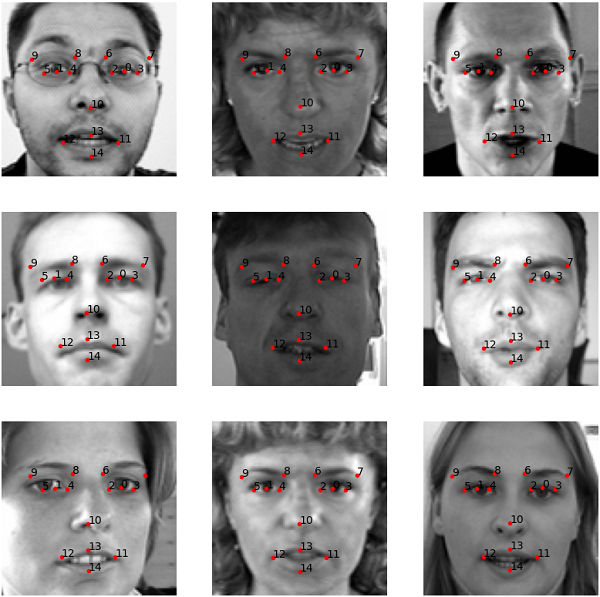 Facial keypoint detection on the test dataset using deep neural network and PyTorch.
