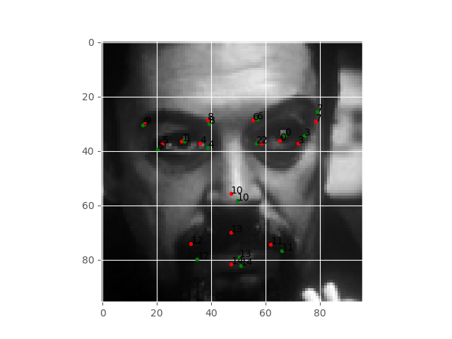 Facial keypoints detected by the deep neural network after 300 epochs.