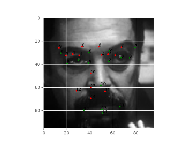 Facial keypoints detected by the deep neural network after 100 epochs.