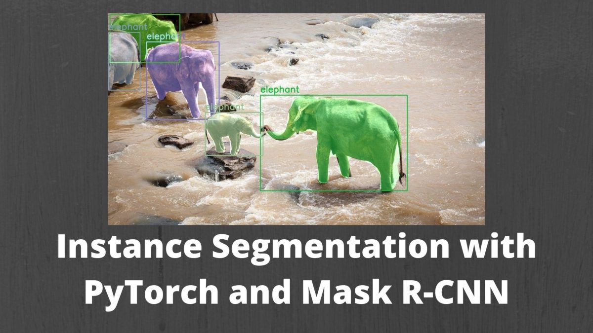 Instance Segmentation with PyTorch and Mask R-CNN