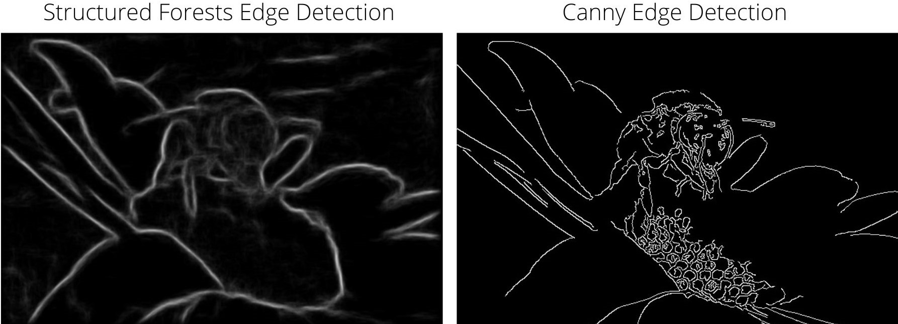 Edge Detection using Structured Forests with OpenCV