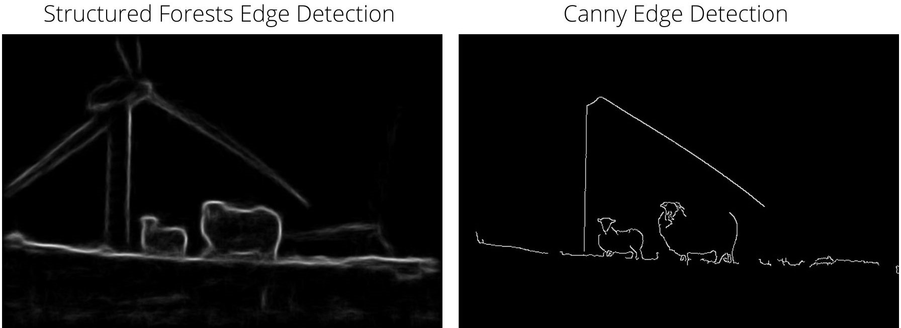 Edge Detection using Structured Forests with OpenCV
