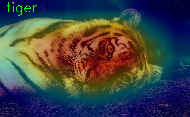 Class activation map for an image of a tiger