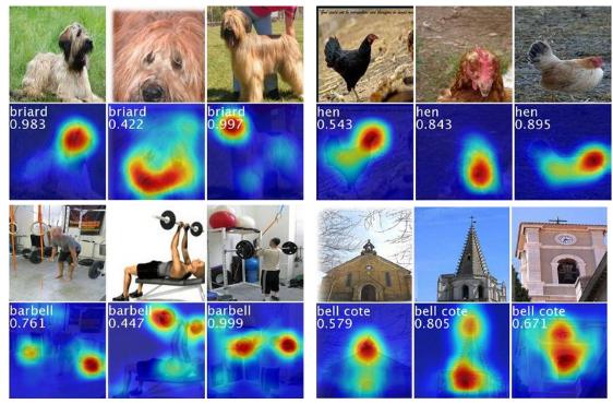 Saliency map visualization using class activation mapping.