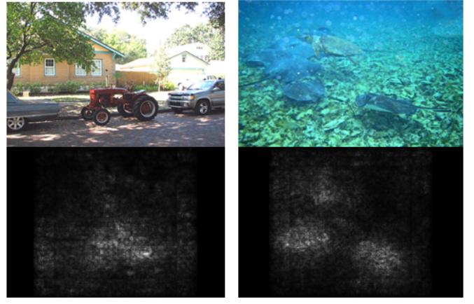 Example of saliency maps in convolutional neural networks