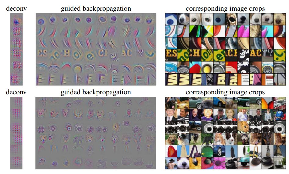 Saliency maps using the guided backpropagation method.