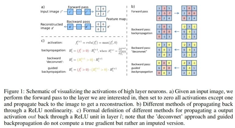 Saliency Maps in Convolutional Neural Networks