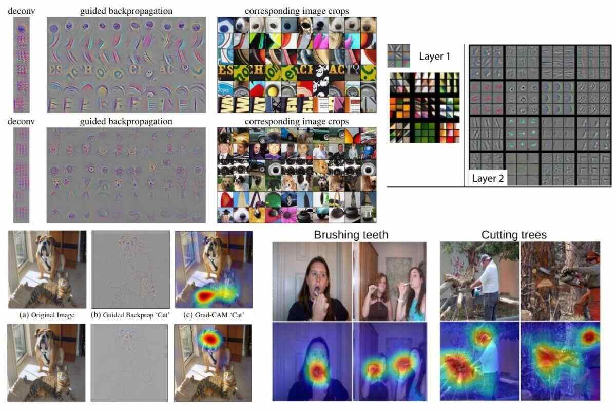 Image showing different saliency map methods in convolutional neural networks.