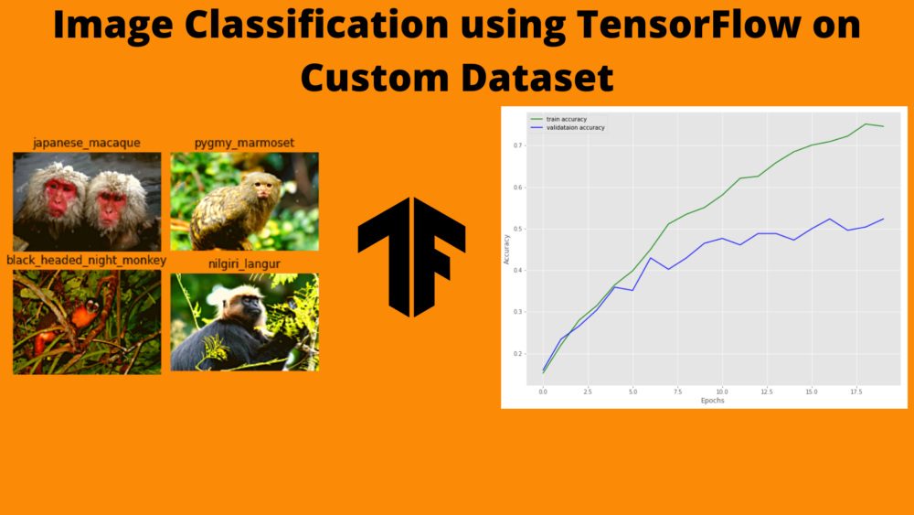 Python tensorflow image classification hot sale example