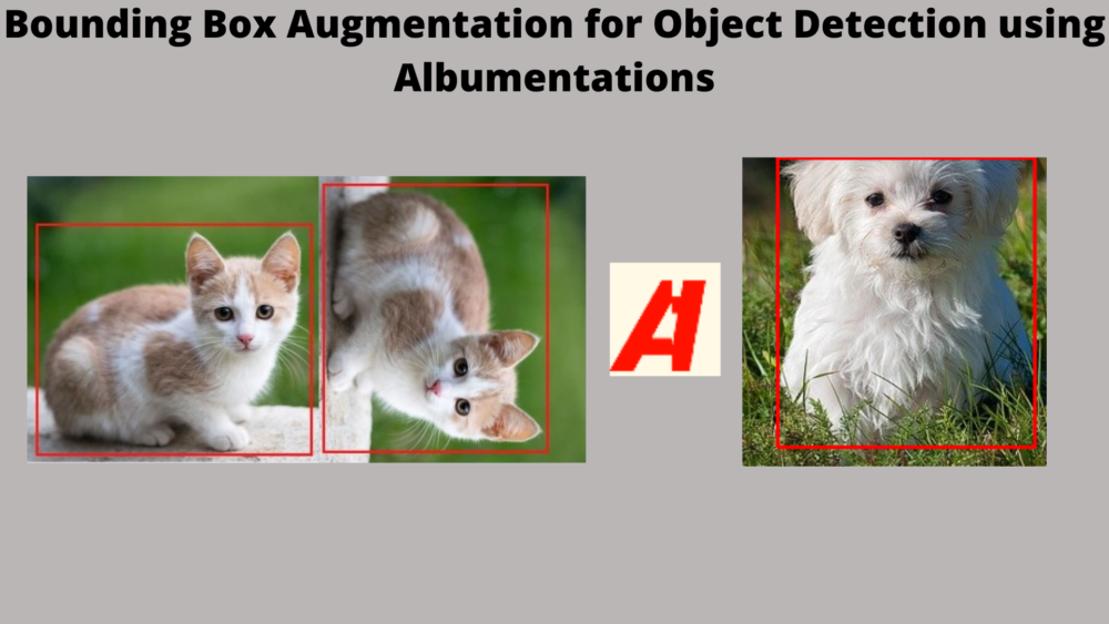 Bounding Box Augmentation for Object Detection using Albumentations