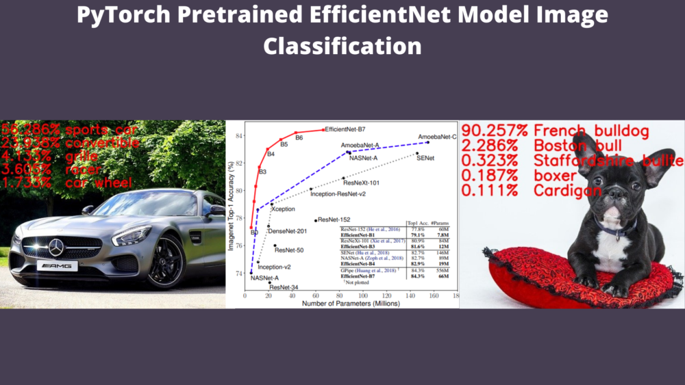 PyTorch Pretrained EfficientNet Model Image Classification