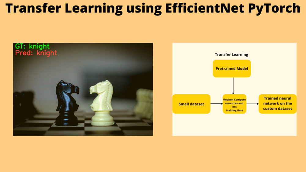 Transfer Learning using EfficientNet PyTorch