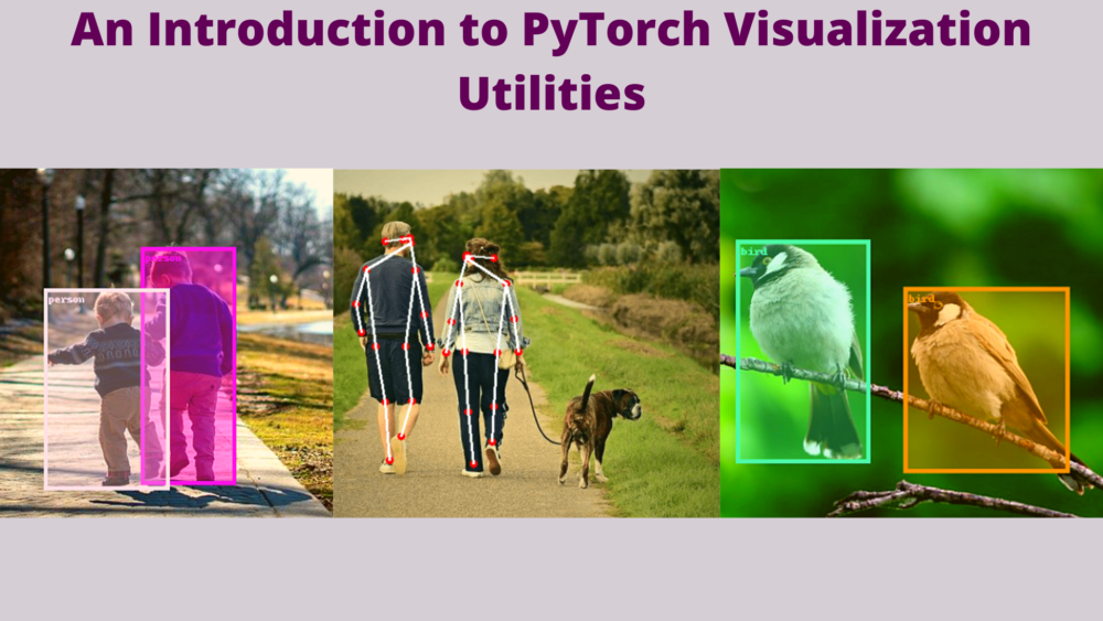 An Introduction to PyTorch Visualization Utilities