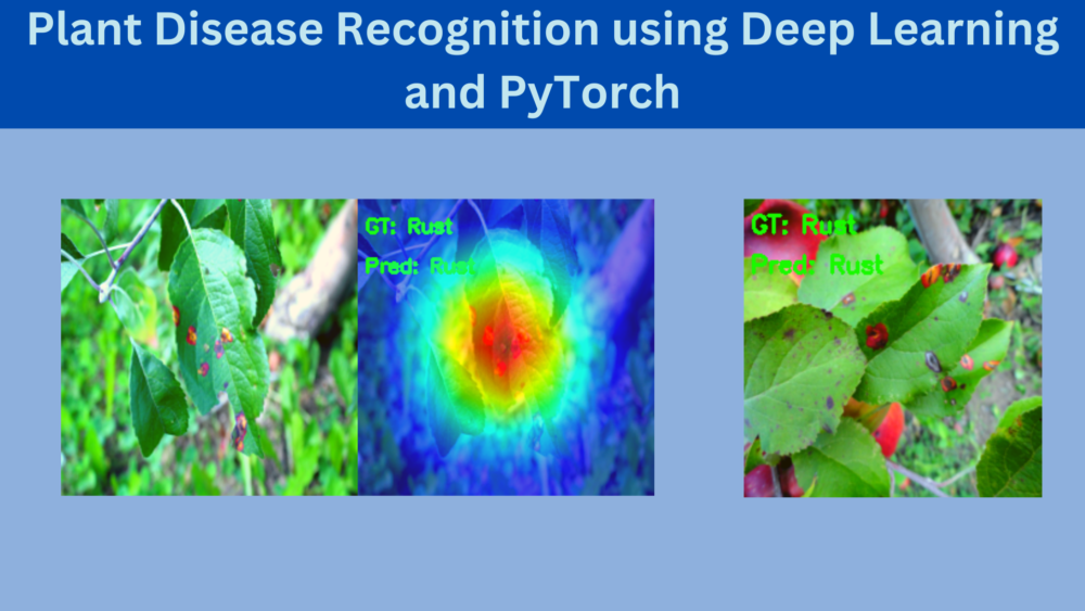 Plant Disease Recognition using Deep Learning and PyTorch
