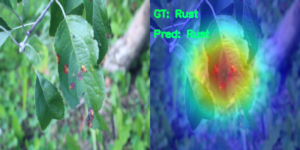 Plant Disease Recognition using Deep Learning and PyTorch