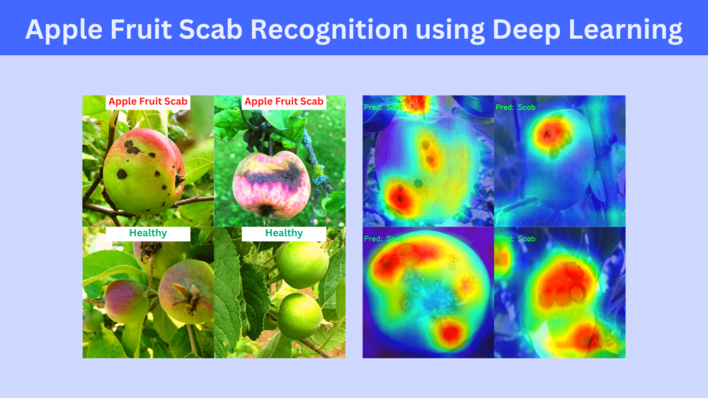 Apple Fruit Scab Recognition using Deep Learning and PyTorch