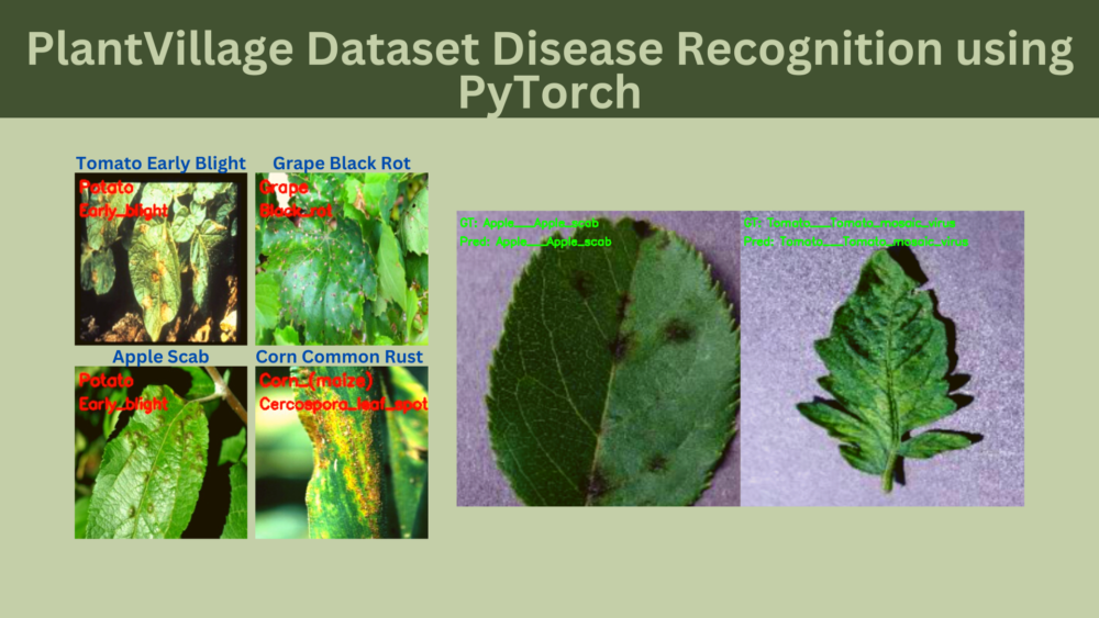 PlantVillage Dataset Disease Recognition using PyTorch