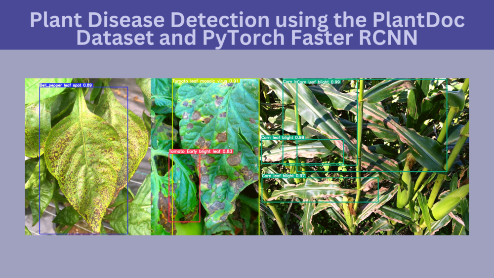 Plant Disease Detection using the PlantDoc Dataset and PyTorch Faster RCNN