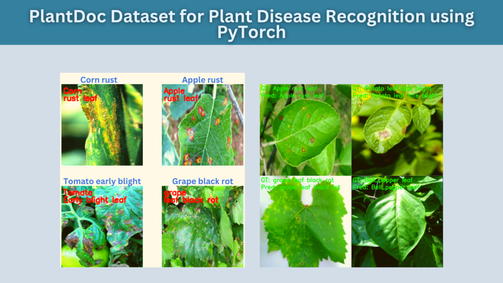 PlantDoc Dataset for Plant Disease Recognition using PyTorch