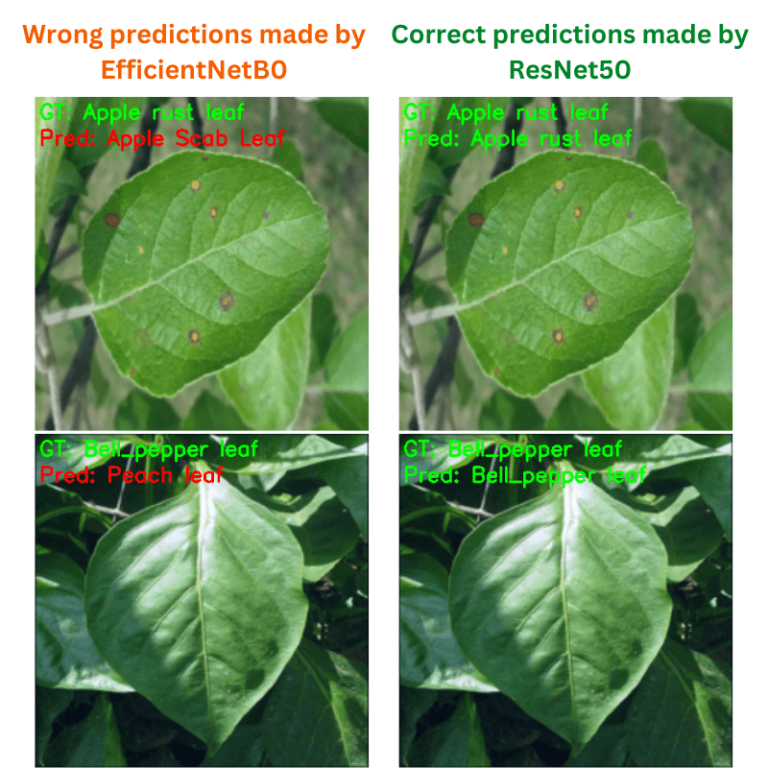 Plant Disease Recognition using the PlantDoc Dataset and PyTorch
