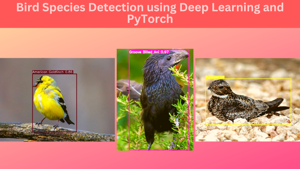 Bird Species Detection using Deep Learning and PyTorch