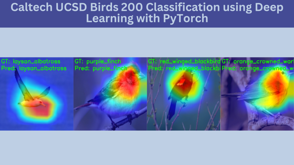 Caltech UCSD Birds 200 Classification using Deep Learning with PyTorch