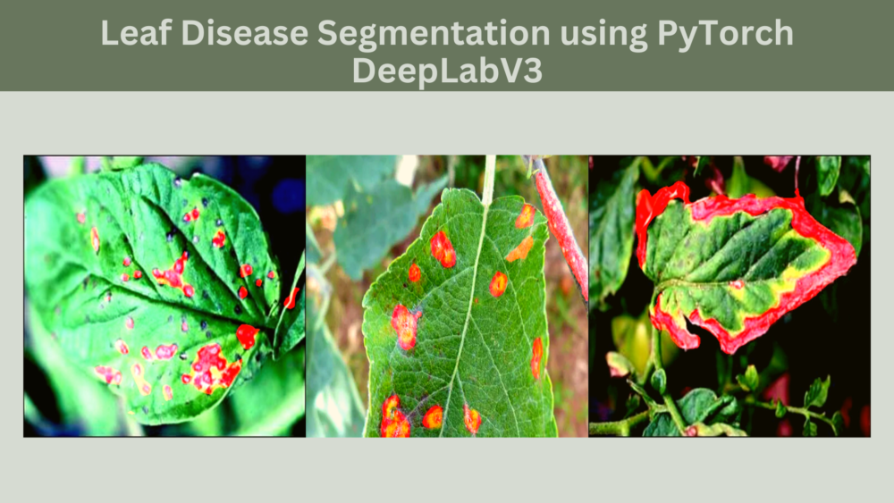 Leaf Disease Segmentation using PyTorch DeepLabV3