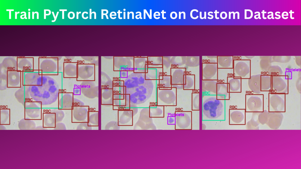 Train PyTorch RetinaNet on Custom Dataset