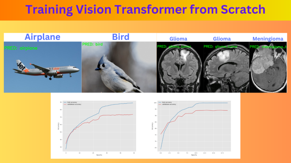 Training Vision Transformer from Scratch