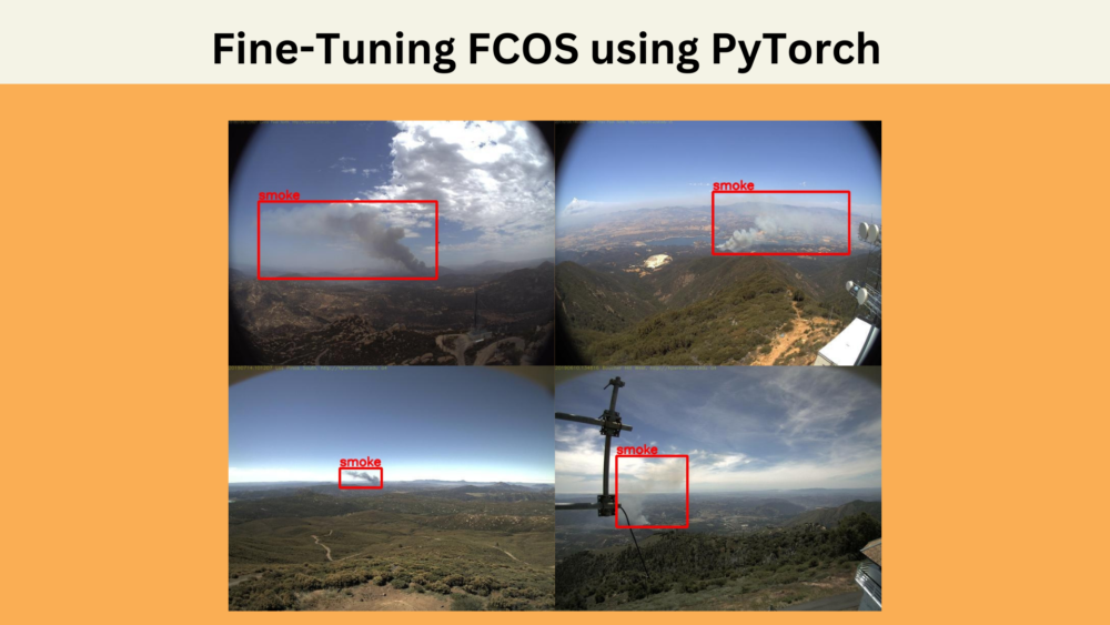 Fine-Tuning FCOS using PyTorch
