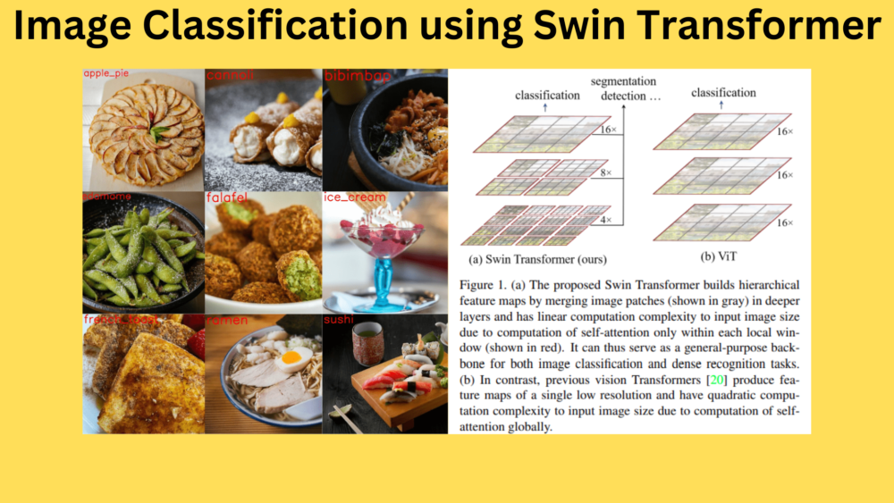 Image Classification using Swin Transformer