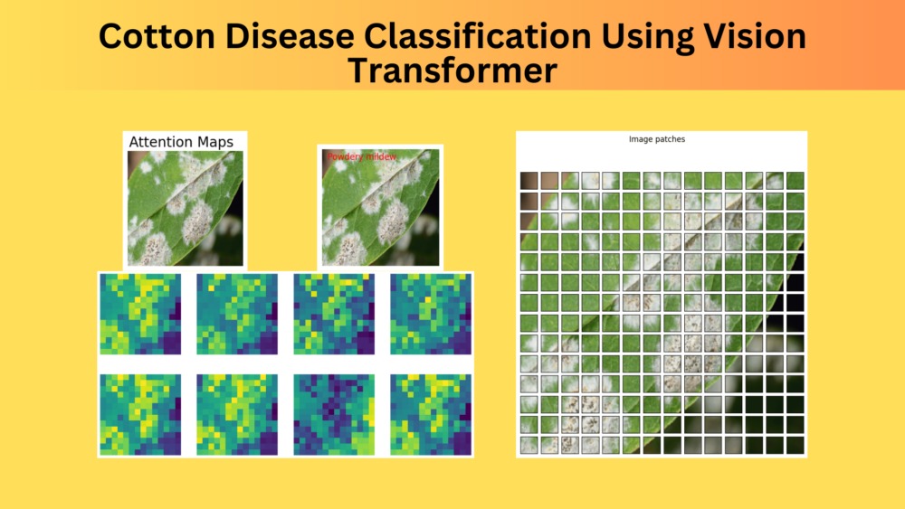 Cotton Disease Classification Using Vision Transformer and Visualizing Attention Maps