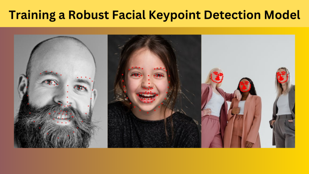 Training a Robust Facial Keypoint Detection Model