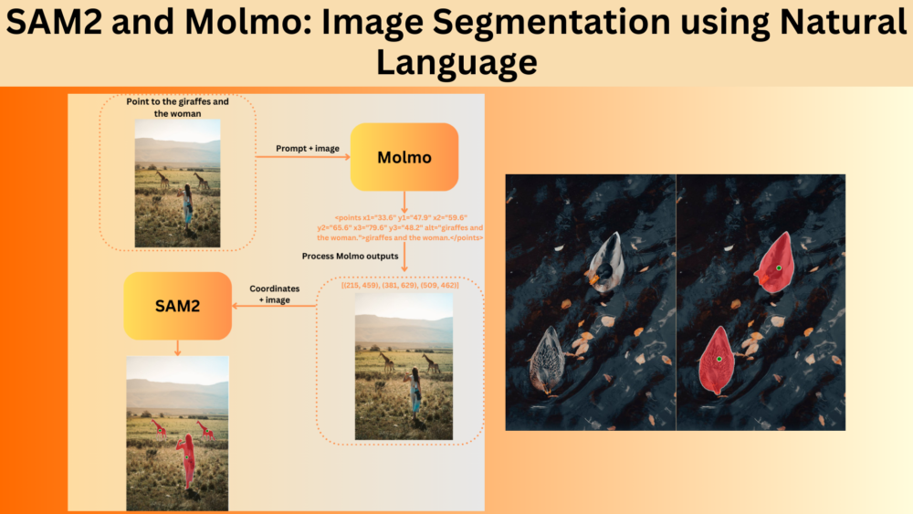 SAM2 and Molmo: Image Segmentation using Natural Language