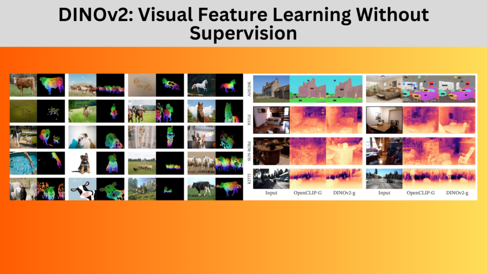 DINOv2 Visual Feature Learning Without Supervision