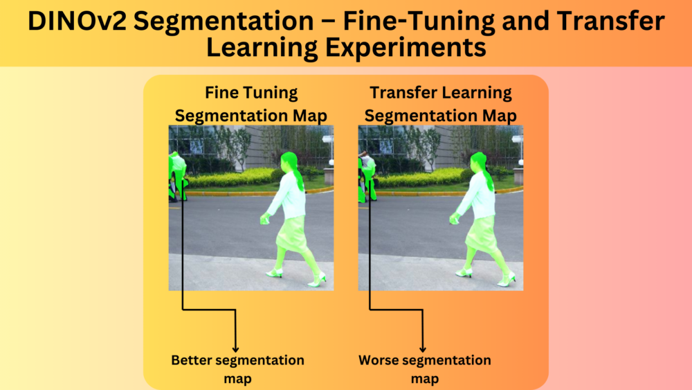 DINOv2 Segmentation – Fine-Tuning and Transfer Learning Experiments