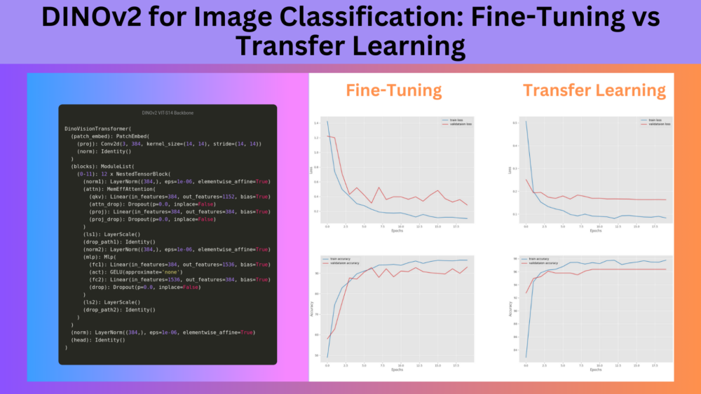 DINOv2 for Image Classification: Fine-Tuning vs Transfer Learning