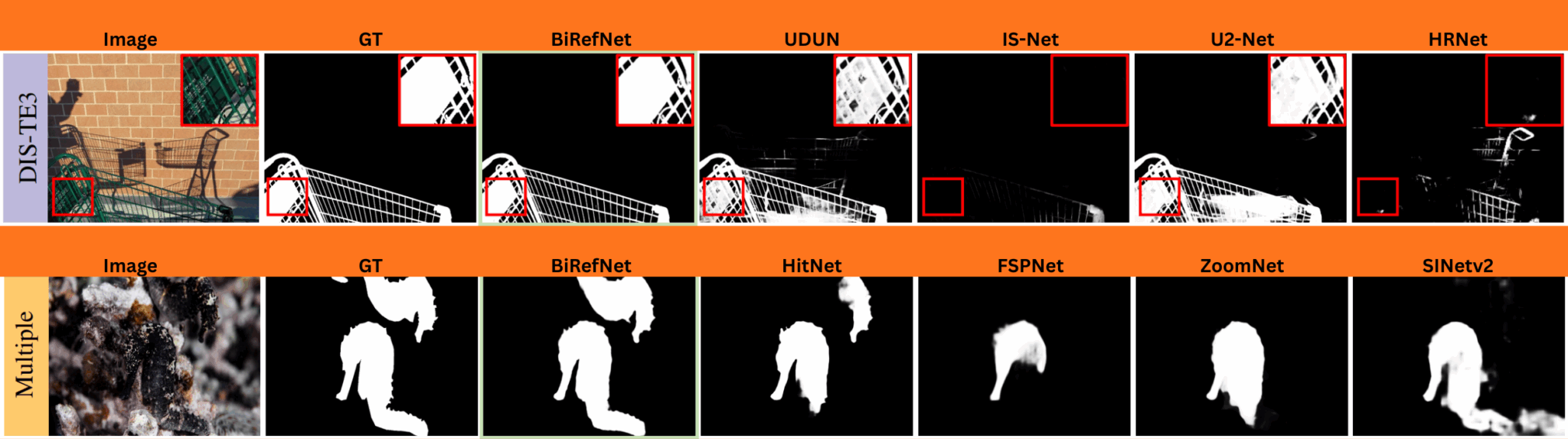 Introduction to BiRefNet